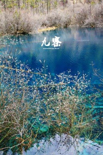月光影视