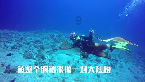 宁夏大专生报考公务员有什么要求？计算机专业有岗位吗游戏画面